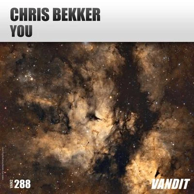 You 專輯 Chris Bekker/My Digital Enemy/Chris Montana/Peter Brown/Coqui Selection