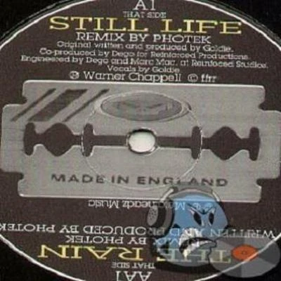 Goldie Still LifeThe Rain (Remixes)