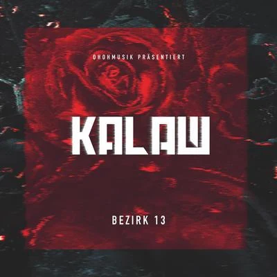 Bezirk 13 专辑 Kalazh44