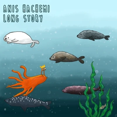 Long Story 专辑 Anis Hachemi