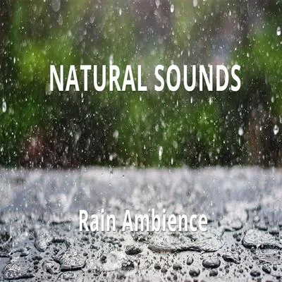 Rain Ambience 專輯 Nature Soundscape/Natural Sounds/Ambiente