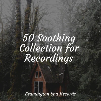 50 Soothing Collection for Recordings 專輯 Natureza/Relajacion Del Mar/Musica Relajante Piano Master