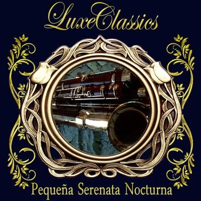 Luxe Classics: Pequeña Serenata Nocturna 专辑 Tomaso Albinoni