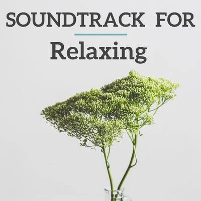 Soundtrack for Relaxing 專輯 Edgar Cree/Jules Massenet/Doris Brasch/SABC Studio Orchestra