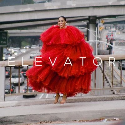 Elevator 專輯 Aaron Miller/Gavin Turek/Miami Horror