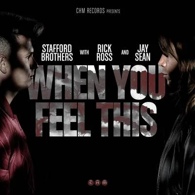 When You Feel This 專輯 Stafford Brothers/Tune Brothers/Timmy Trumpet/Pretty Pink/Jonathan Ulysses