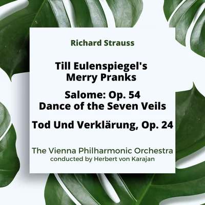 Richard Strauss: Till Eulenspiegels Merry PranksDance of the Seven VeilsTod Und Verklärung 專輯 the Vienna Philharmonic Orchestra