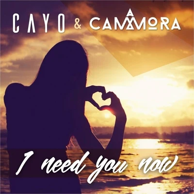 CayoMikuFDVM I Need You Now