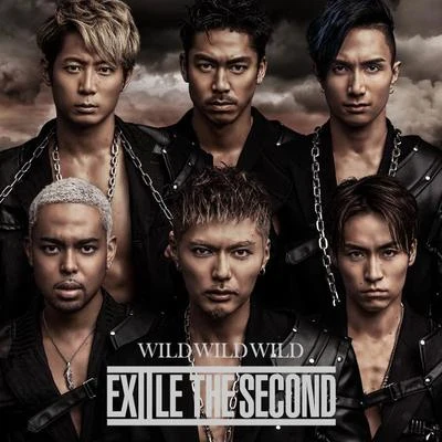 WILD WILD WILD 專輯 EXILE THE SECOND