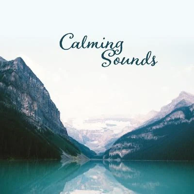 Calming Sounds: Sleep Ambience 2019, Deep Relaxation, Harmony, Inner Balance, Sounds of Nature 專輯 Inspiring Tranquil Sounds/Nature Sounds for Sleep and Relaxation/Calm Music Masters