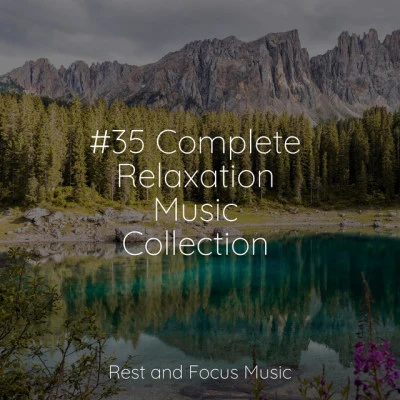 35 Complete Relaxation Music Collection 专辑 Shakuhachi Sakano/Brain Study Music Guys/Meditation Music Club