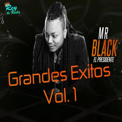 Grandes Éxitos, Vol. 1 专辑 Yuranis Leon/Mr. Ragga/Mr Black El Presidente/DJ Dever