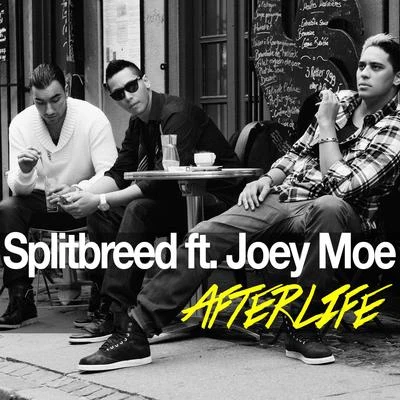 Afterlife 專輯 Splitbreed/Loud N Killer