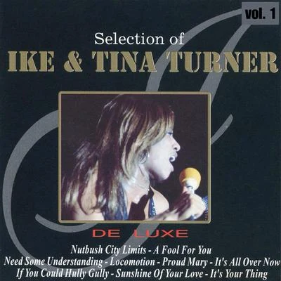 Selection of Ike Tina Turner Vol. 1 专辑 Ike Turner