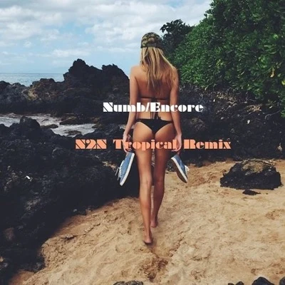 Numb Encore(N2N Tropical Remix) 专辑 N2N