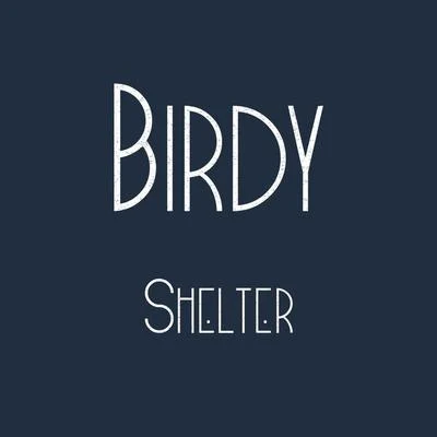 Shelter 专辑 BIRDY