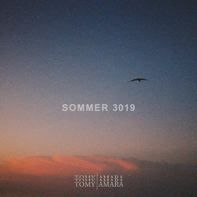 Sommer 3019 专辑 Amara