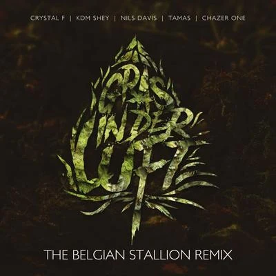 TamasFinch Asozial Gras in der Luft (The Belgian Stallion Remix)