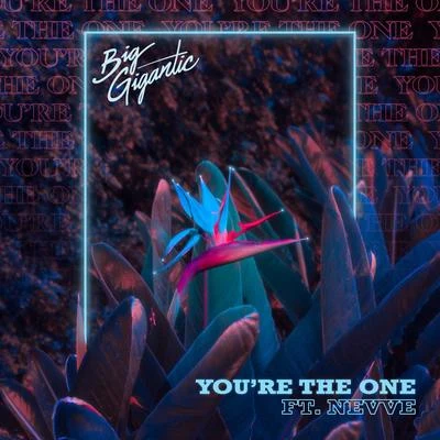 You’re The One 專輯 Big Gigantic