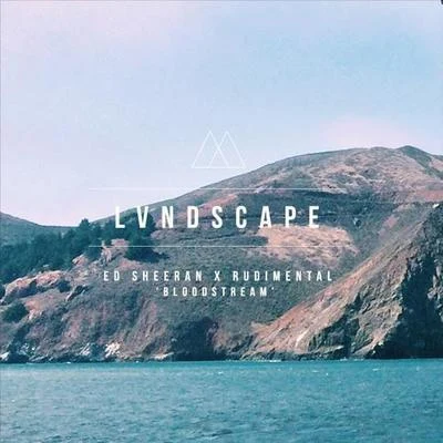 Bloodstream (LVNDSCAPE Bootleg) 专辑 LVNDSCAPE