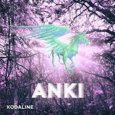 AnkiGrodko All I Want (Anki Bootleg Remix)