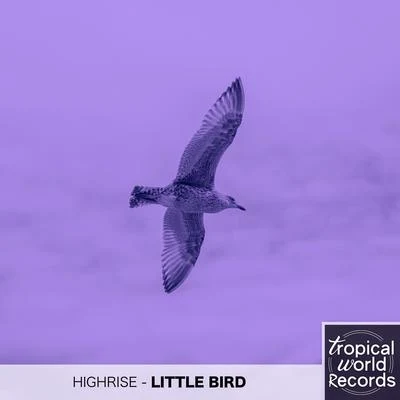 Little Bird (Original Mix) 专辑 Highrise/Ell Murphy