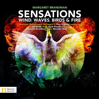 Sensations: Wind, Waves, Birds & Fire 專輯 Henry Red Allen/Petr Vronsky/Lord Infamous/Gheorghe Zamfir/James Last