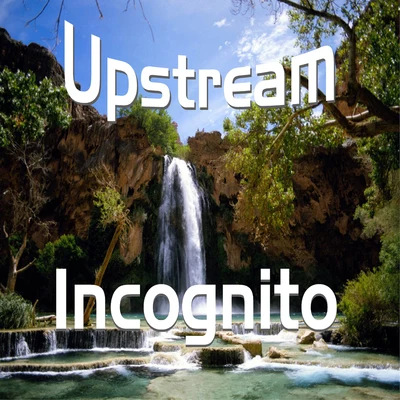 Upstream (A1) 專輯 Tony Momrelle/INCOGNITO