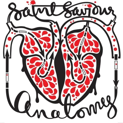 Anatomy 專輯 Saint Saviour/Taku Takahashi/Hatcha/MC Cobra/Rob Sparx