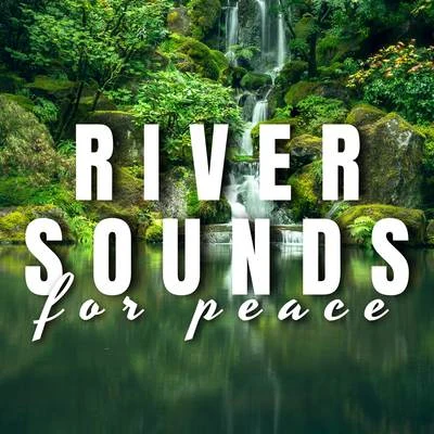 River Sounds for Peace 專輯 Ocean Waves for Sleep/Ocean Sounds