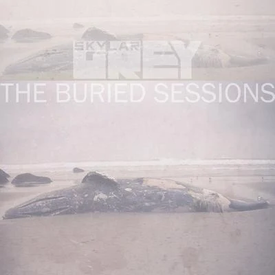 The Buried Sessions of Skylar Grey 專輯 Skylar Grey