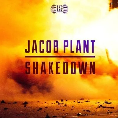 Shakedown (Original Mix) 专辑 Jacob Plant/Stylo G