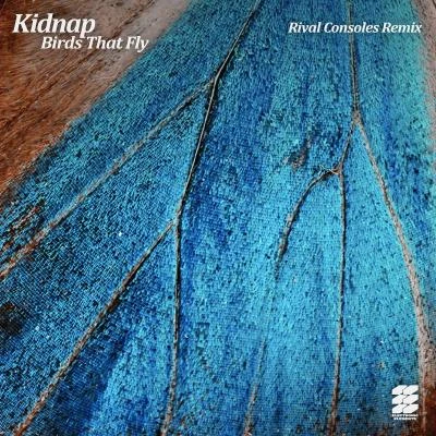 Birds That Fly (Rival Consoles Remix) 專輯 Rival Consoles