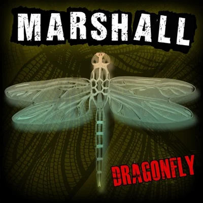 Dragonfly 專輯 FLeCK/Marshall/Meyer