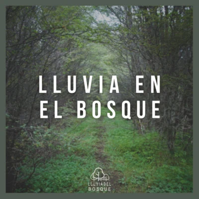 Lluvia en el Bosque 專輯 Lluvia del Bosque/Sueño Profundo Club/Lluvia para Dormir