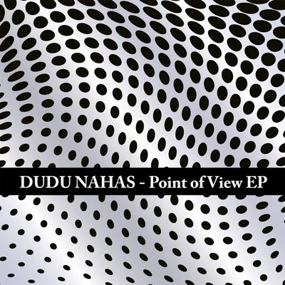 Point of View 專輯 ElecTricks/Southprog/D-Ignition Project/Dudu Nahas/Cristian Paduraru