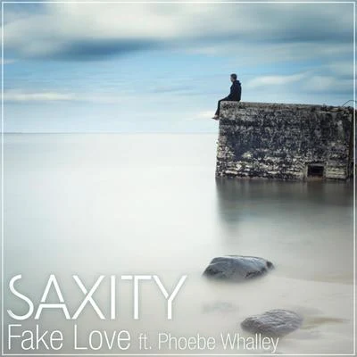 Fake Love (feat. Phoebe Whalley) 专辑 Nathalie Archangel/Saxity