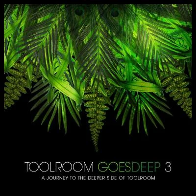 Zeitgeist Toolroom Goes Deep 3