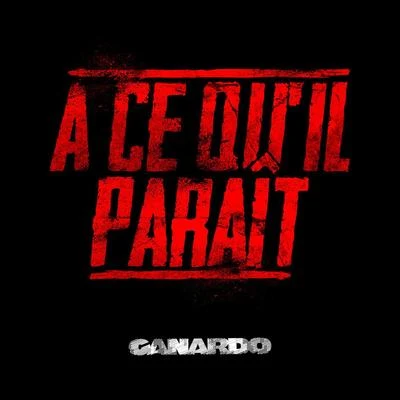 A Ce Qu&#x27;il Paraît 专辑 Canardo