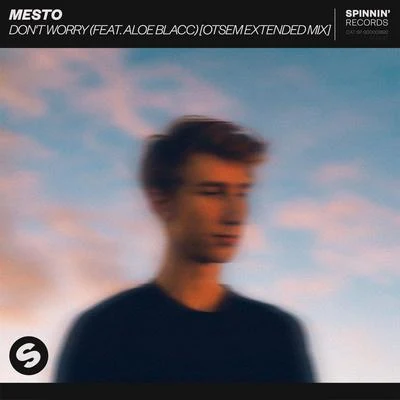 Dont Worry (feat. Aloe Blacc) [Otsem Extended Mix] 專輯 Mesto/Jonas Aden