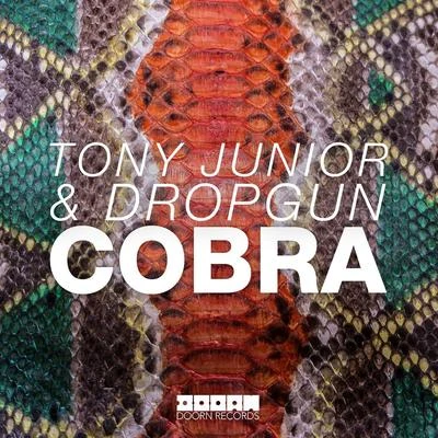 Cobra 專輯 Ez Quew/Tony Junior/Caneschi