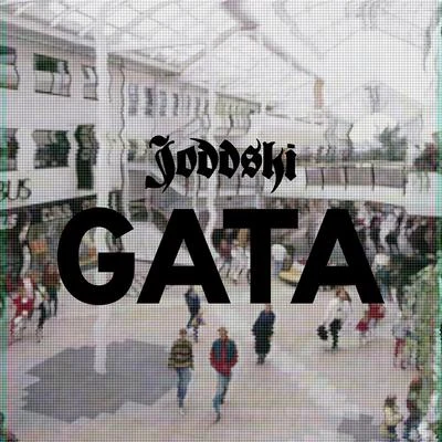 Gata 專輯 Joddski