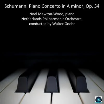 Schumann Piano Concerto 專輯 Walter Goehr