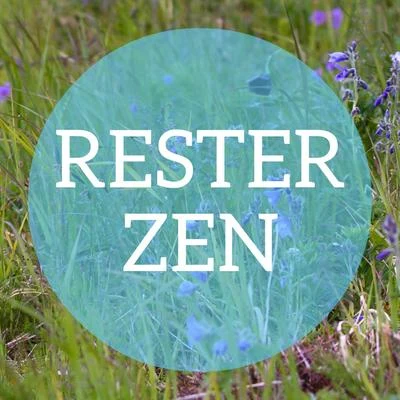 Rester Zen 專輯 Franz Schubert/Fritz Kreisler/Edvard Grieg/Richard Wagner/Nikolai Rimsky-Korsakov