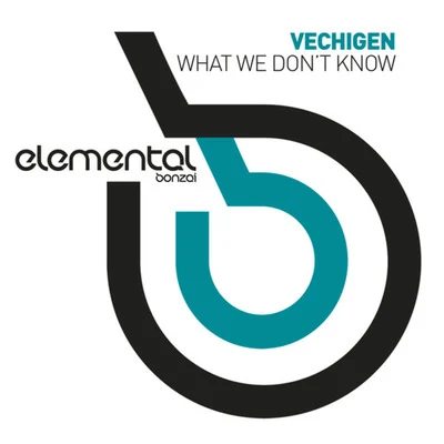 What We Dont Know 專輯 Lisaya/Vechigen/Jamie/Matt Pincer/Quintino & Blasterjaxx