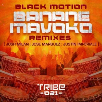 Banane Mavoko (feat. Jah Rich) 專輯 Black Motion/Brenden Praise