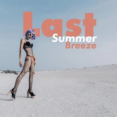 Last Summer Breeze – Compilation of Great Beach Music, Chillout Lounge Ibiza, EDM, Tropical Party, Hot Sun, Memories 专辑 Evening Chill Out Academy/Afterhour Chillout/Chill Every Night Club