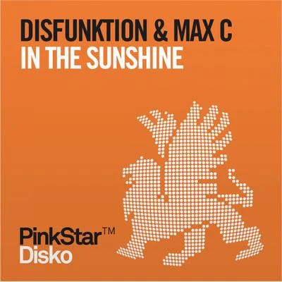 In the Sunshine 專輯 Disfunktion