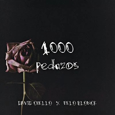 1000 pedazos 專輯 David Cuello