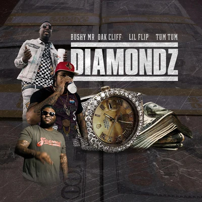 Diamondz 專輯 ESG/Lil Flip/Starship/Ronnetta Spencer/Quintino & Blasterjaxx